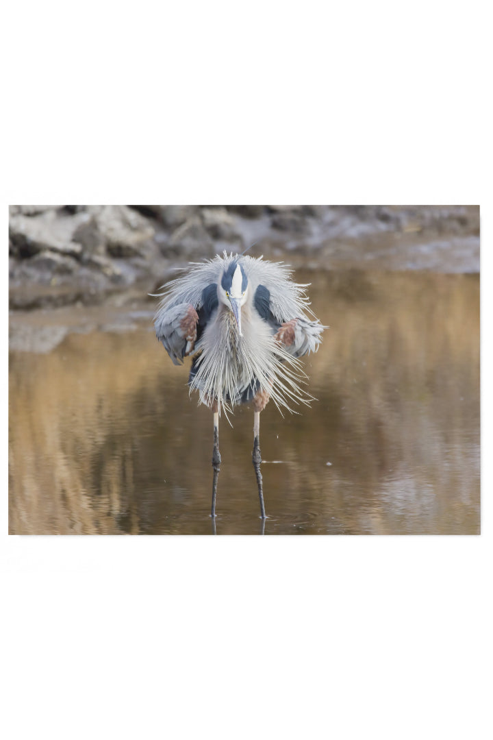Vogel auf Stöcken