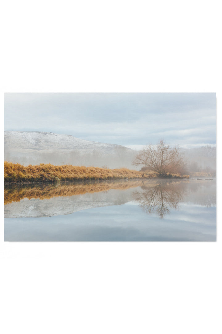 Foggy By The Lake