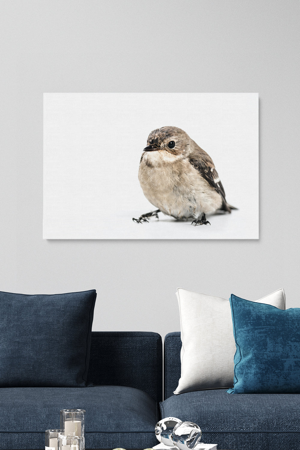 Bird On White