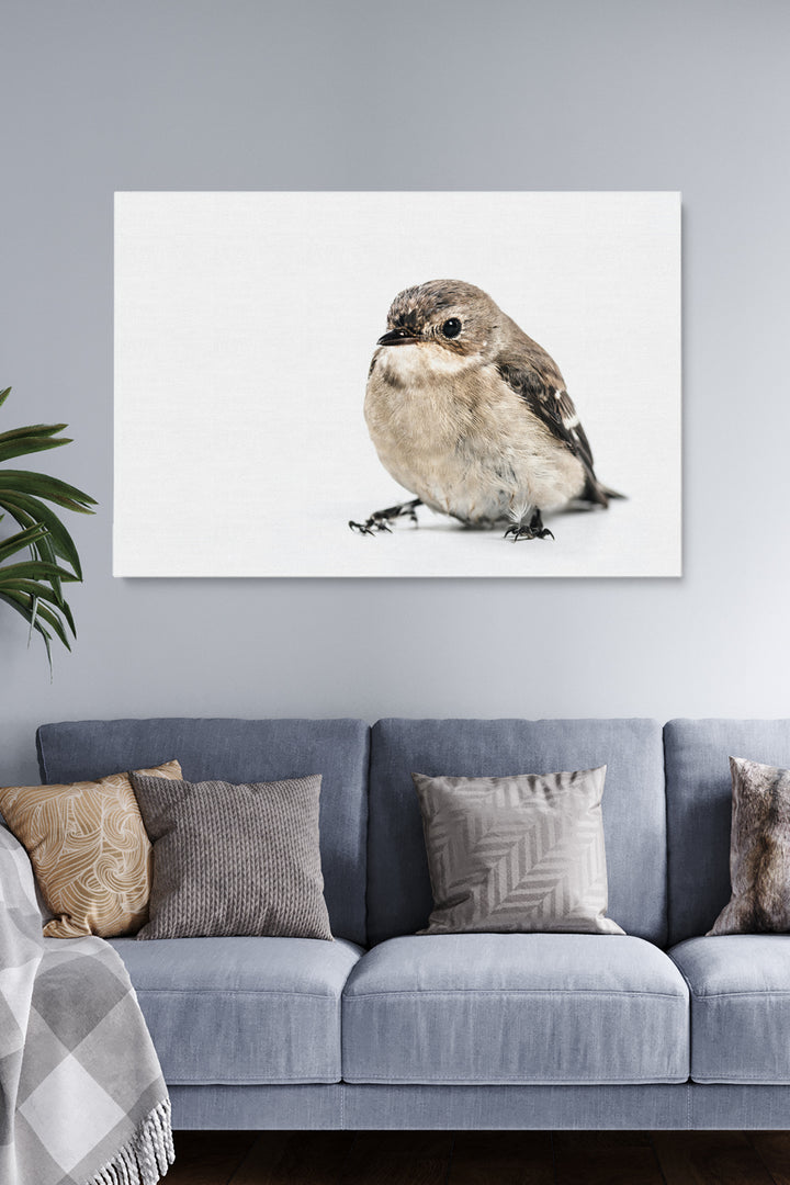 Bird On White