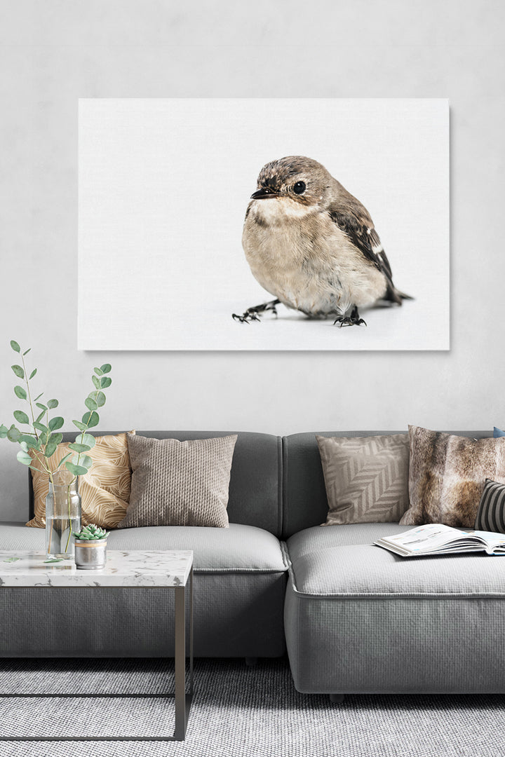 Bird On White
