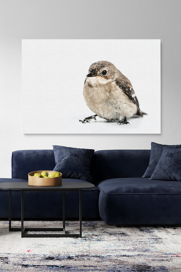 Bird On White