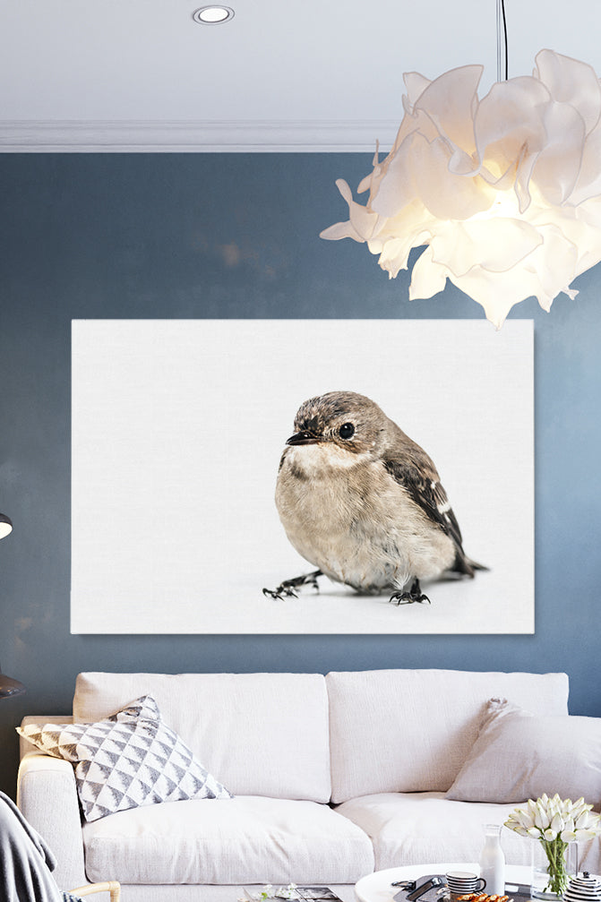 Bird On White