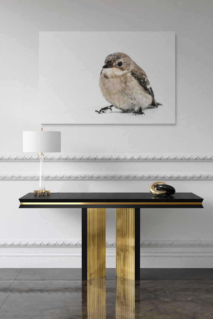 Bird On White