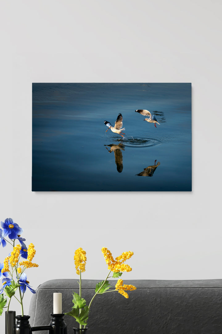 Vögel Angeln