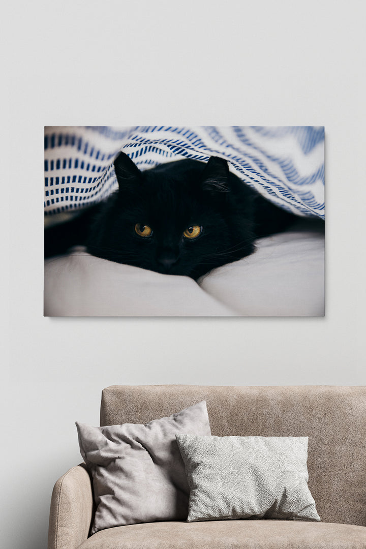 Black Cat Blanket