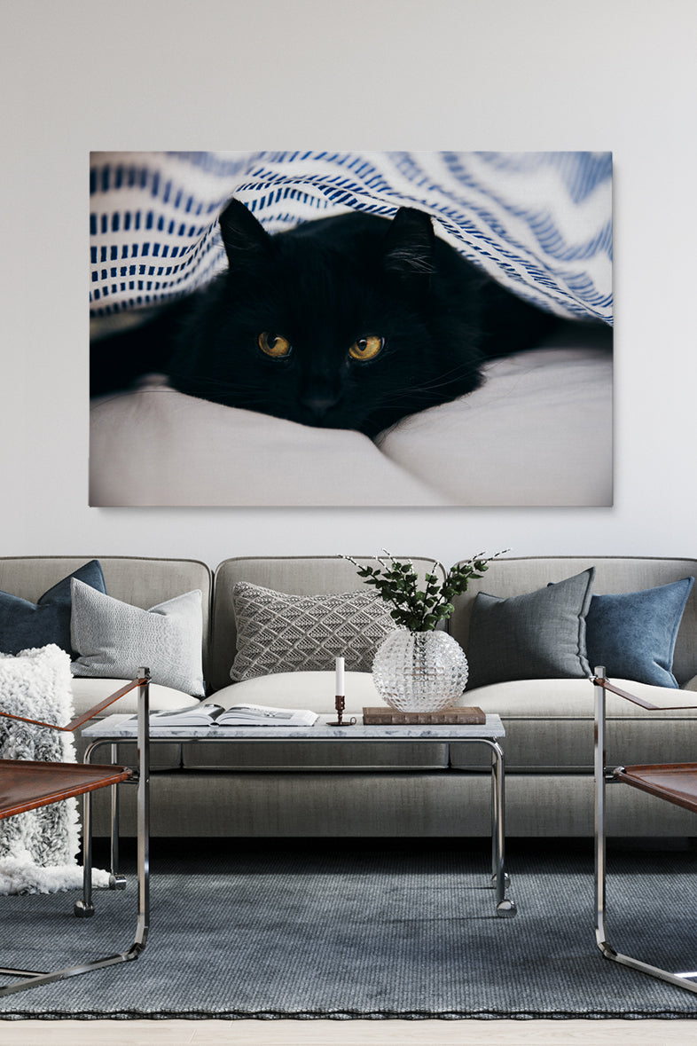 Black Cat Blanket