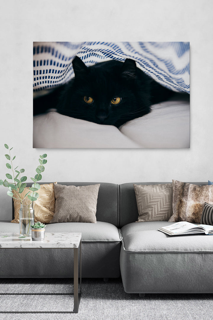 Black Cat Blanket