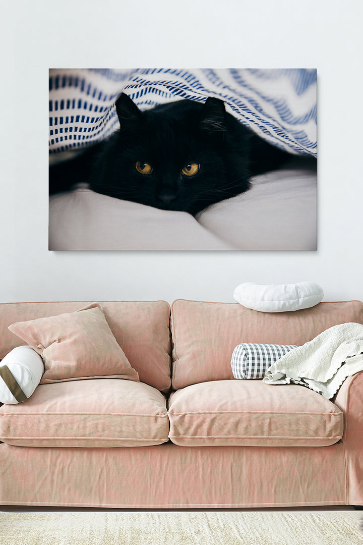 Black Cat Blanket