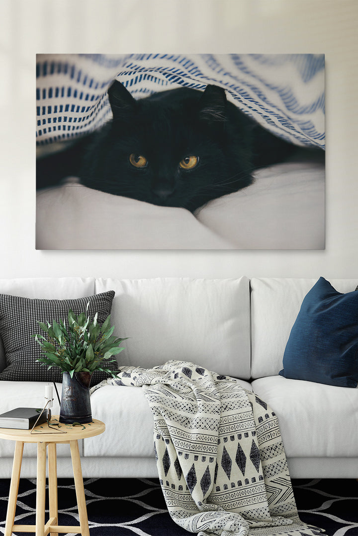 Black Cat Blanket