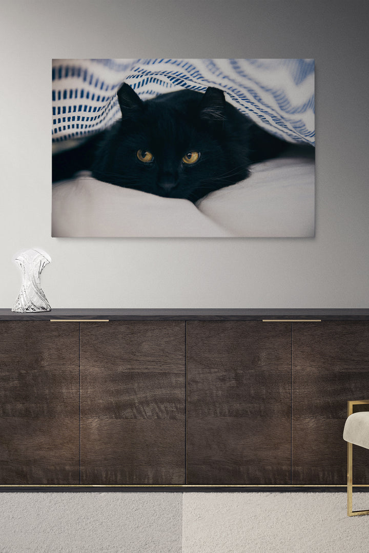 Black Cat Blanket