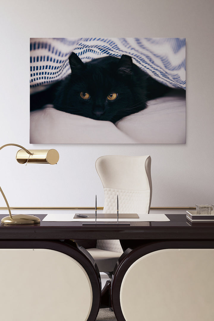 Black Cat Blanket