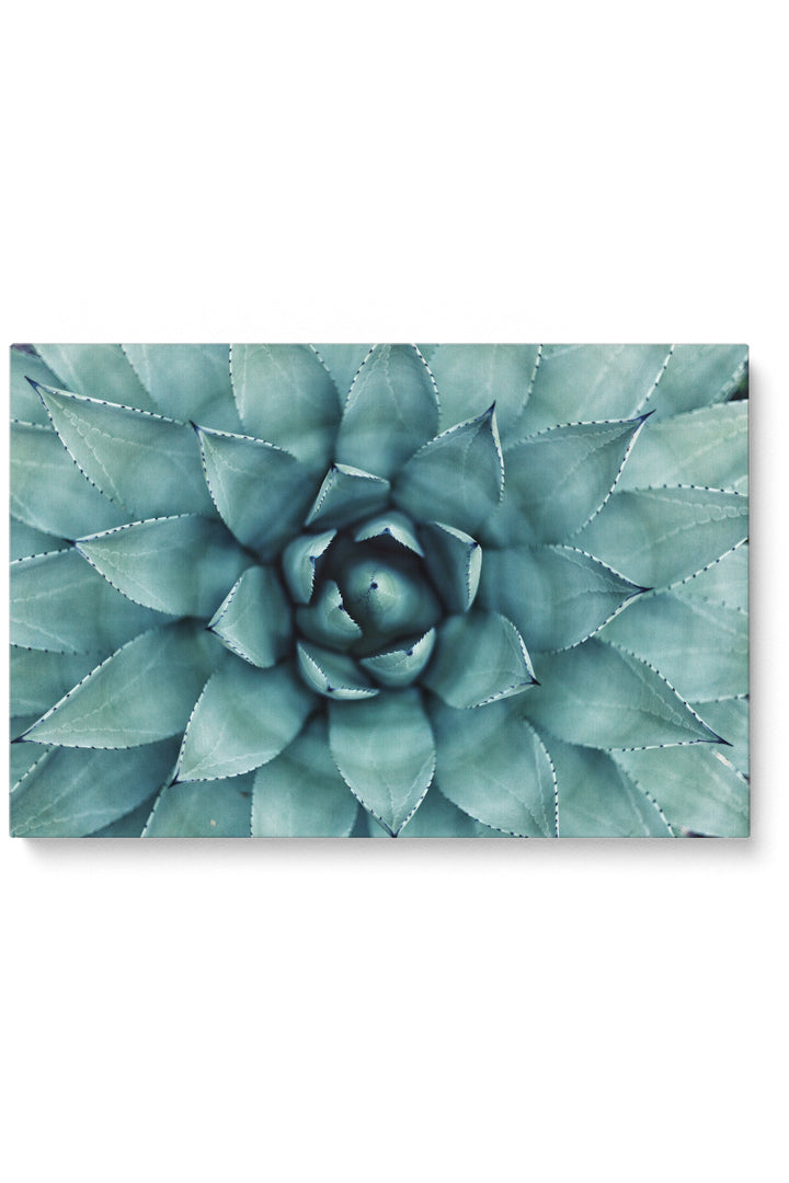 Botanische Spirale
