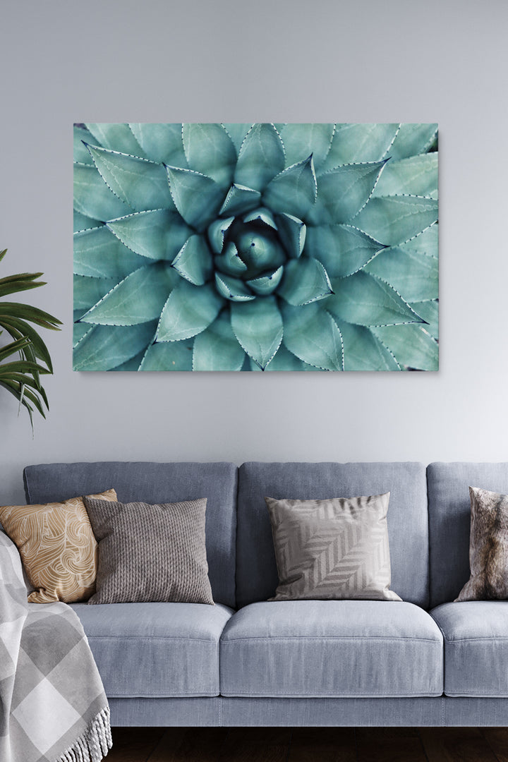 Botanische Spirale