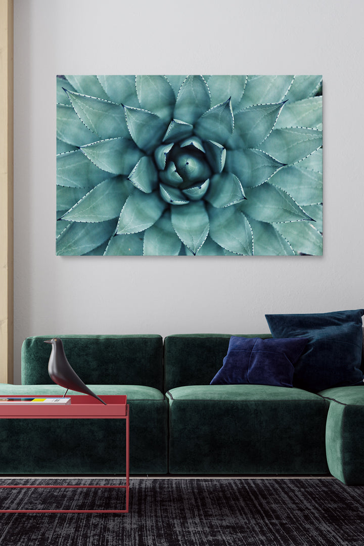 Botanische Spirale