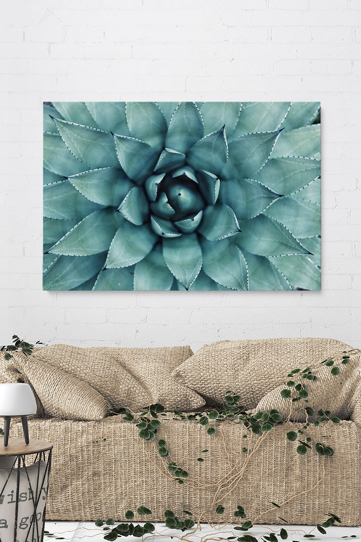 Botanische Spirale