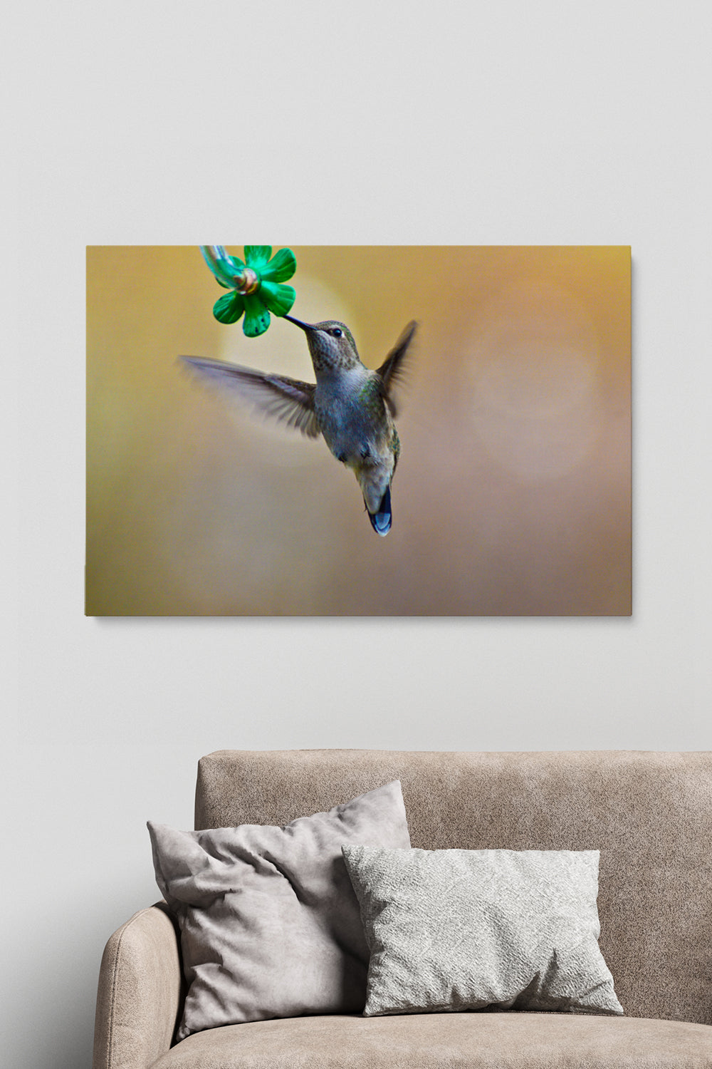 Colibri Eating