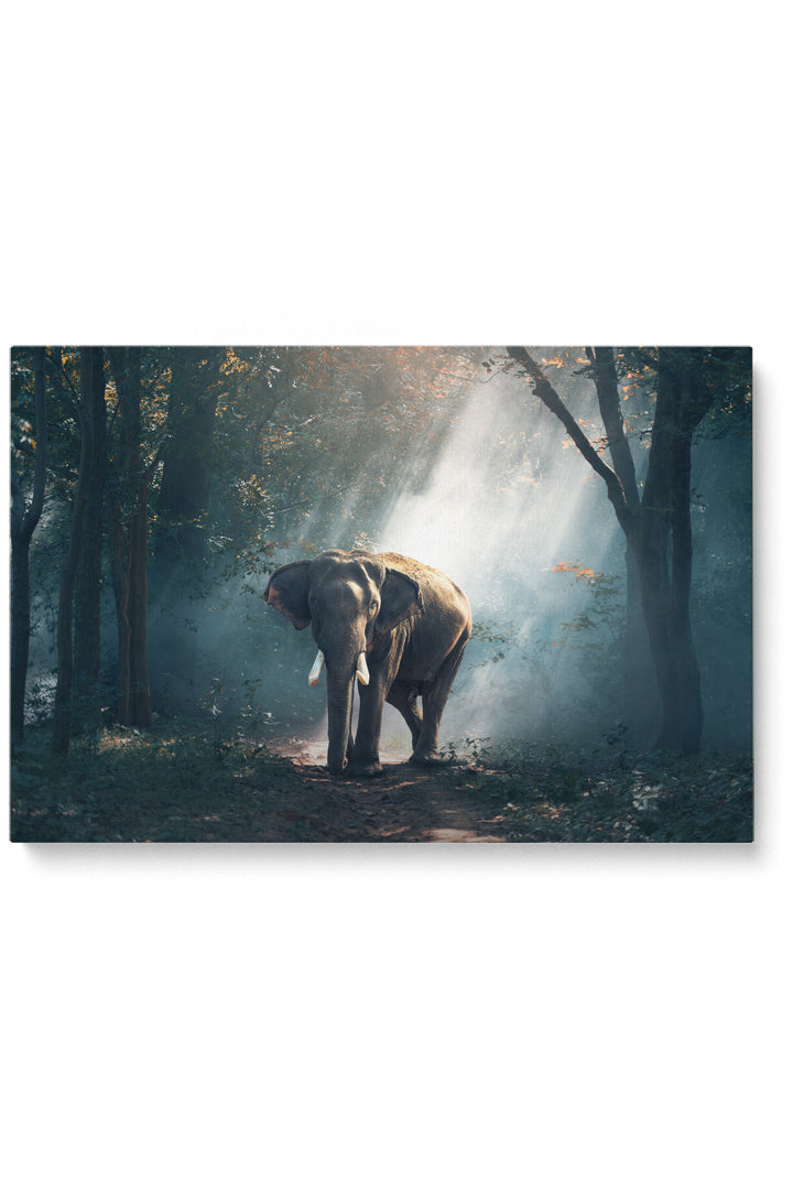 Elephant Forest