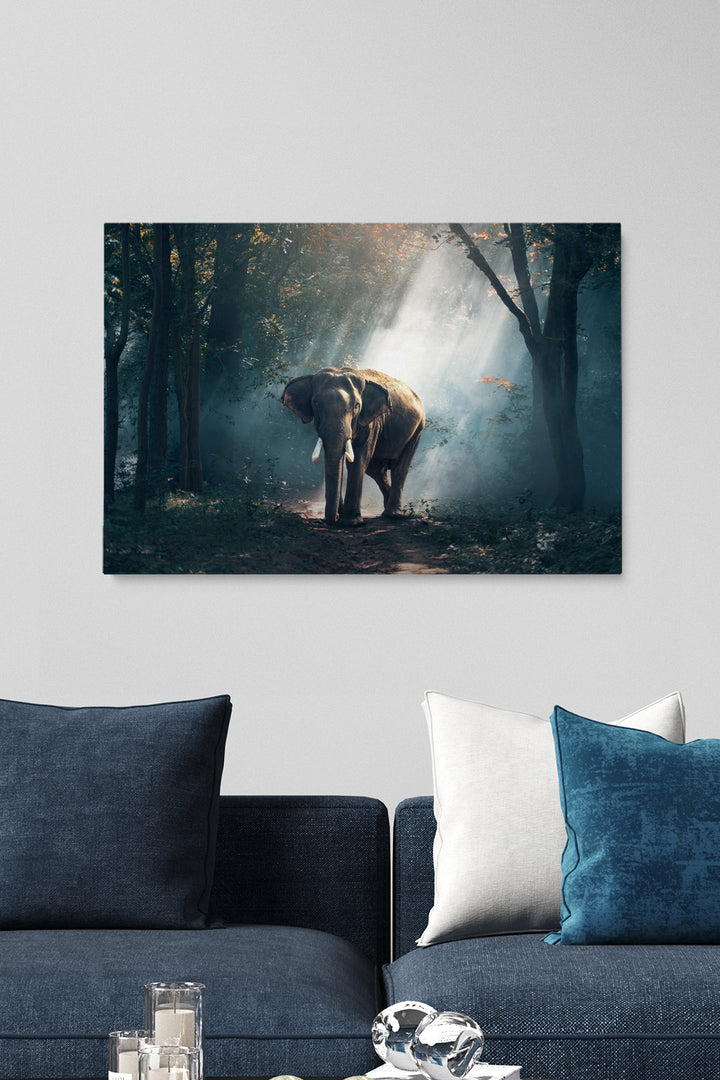 Elephant Forest