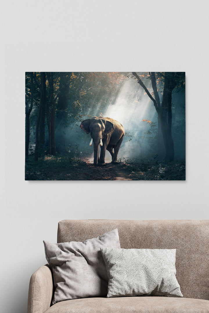 Elephant Forest