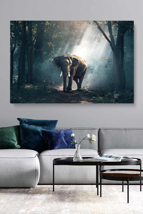 Elephant Forest