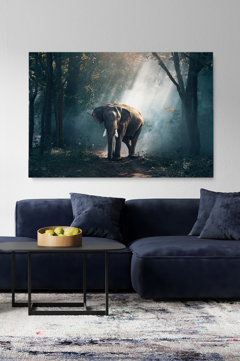 Elephant Forest