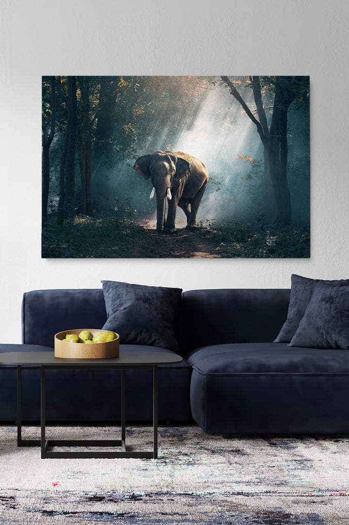 Elephant Forest