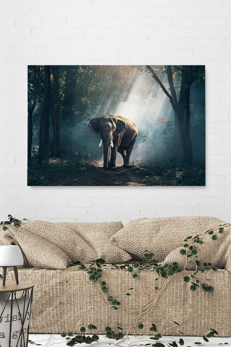 Elephant Forest