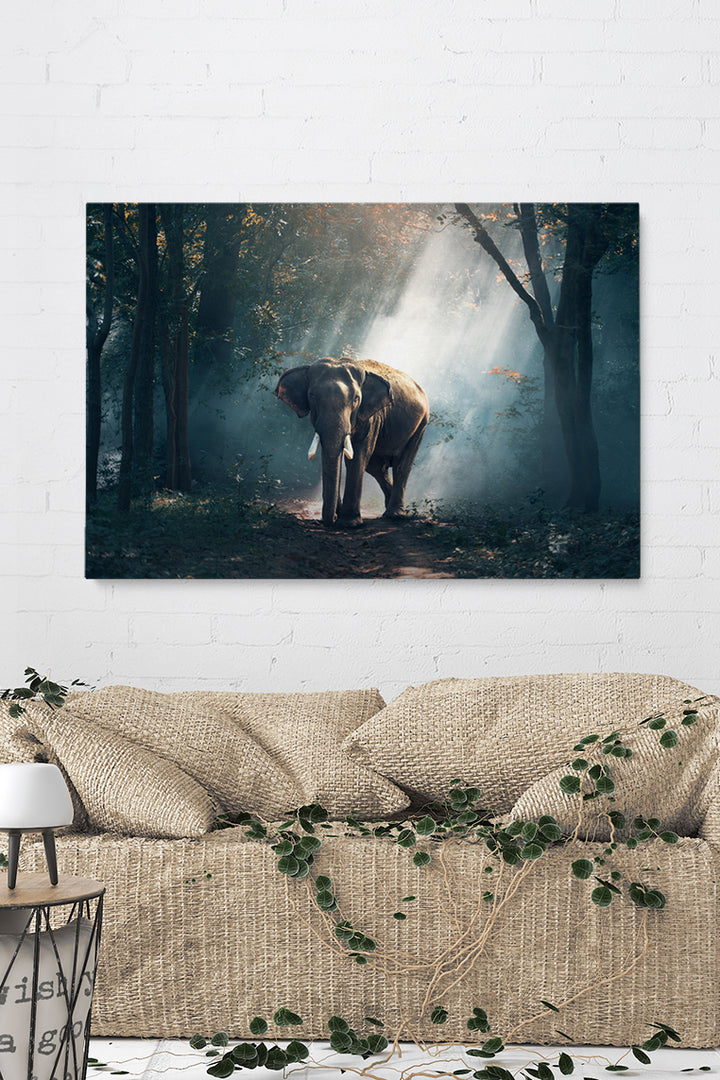 Elephant Forest