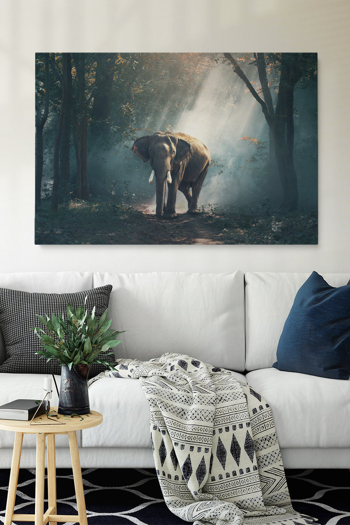 Elephant Forest
