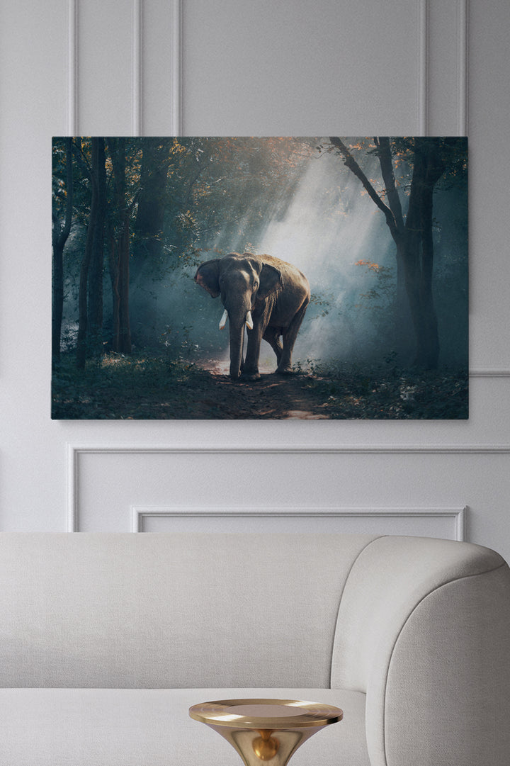 Elephant Forest