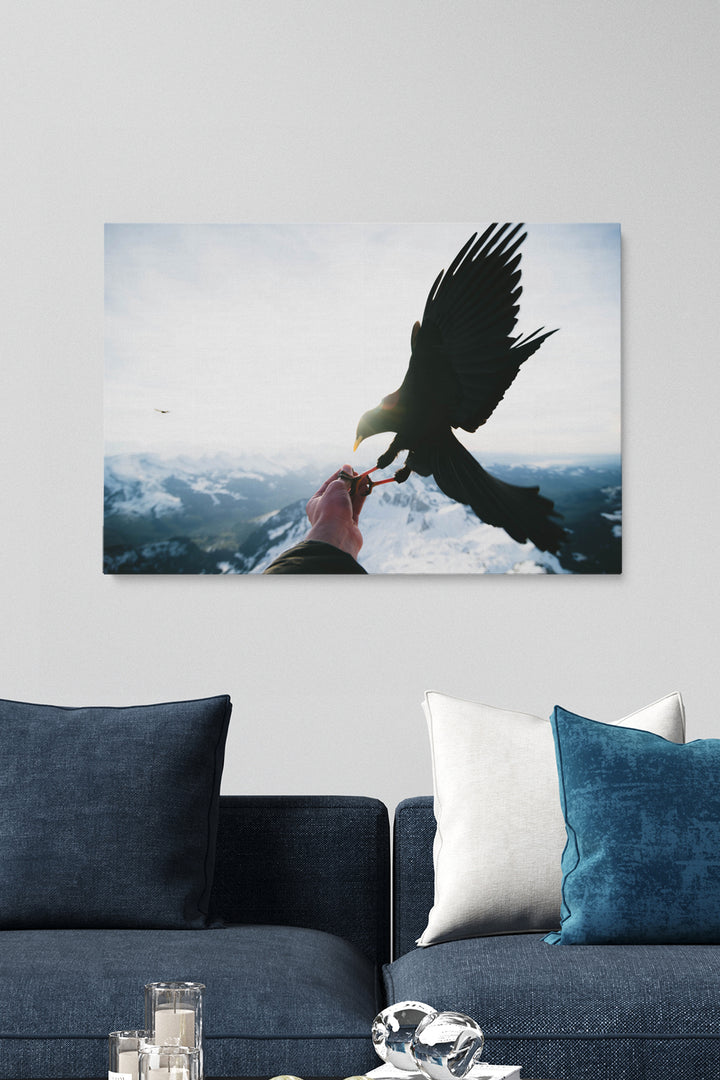 Vögel füttern