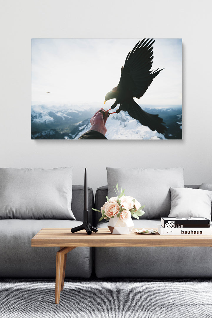 Vögel füttern