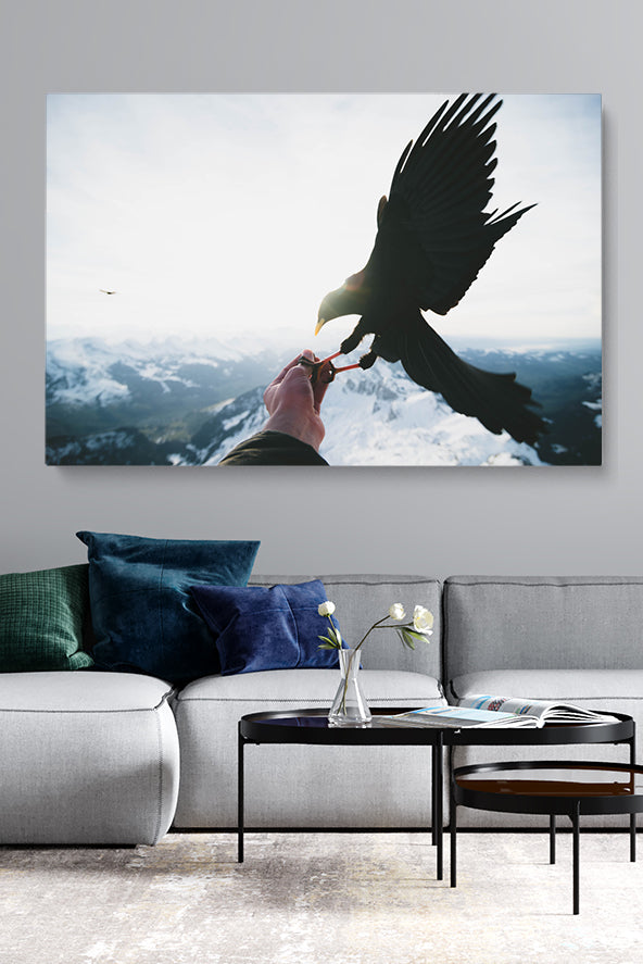 Vögel füttern