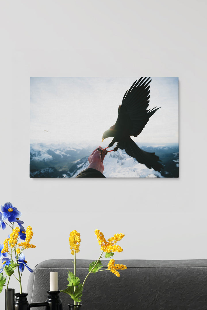 Vögel füttern