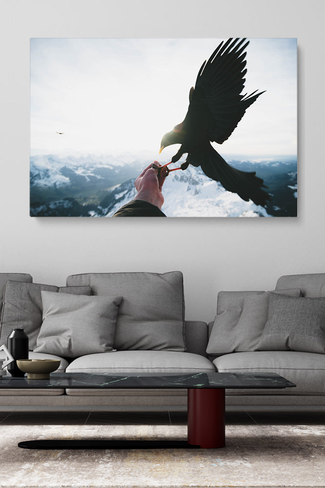 Vögel füttern