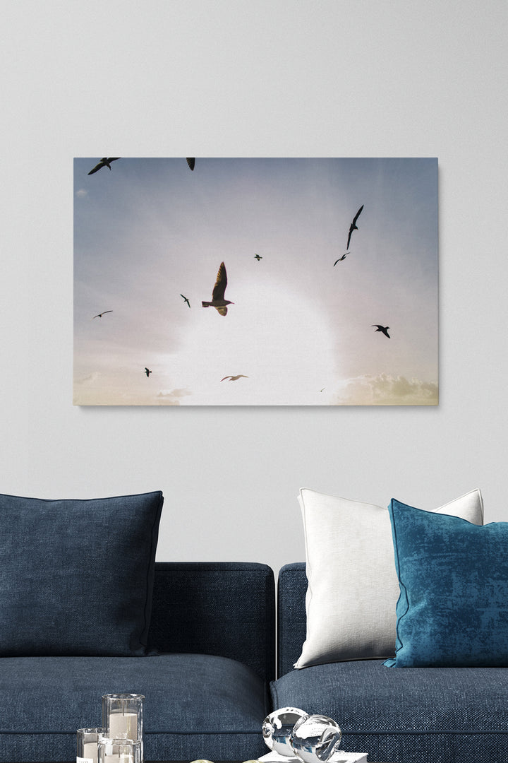Fliegende Vögel