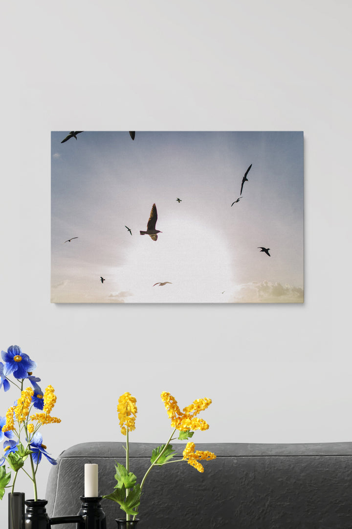 Fliegende Vögel