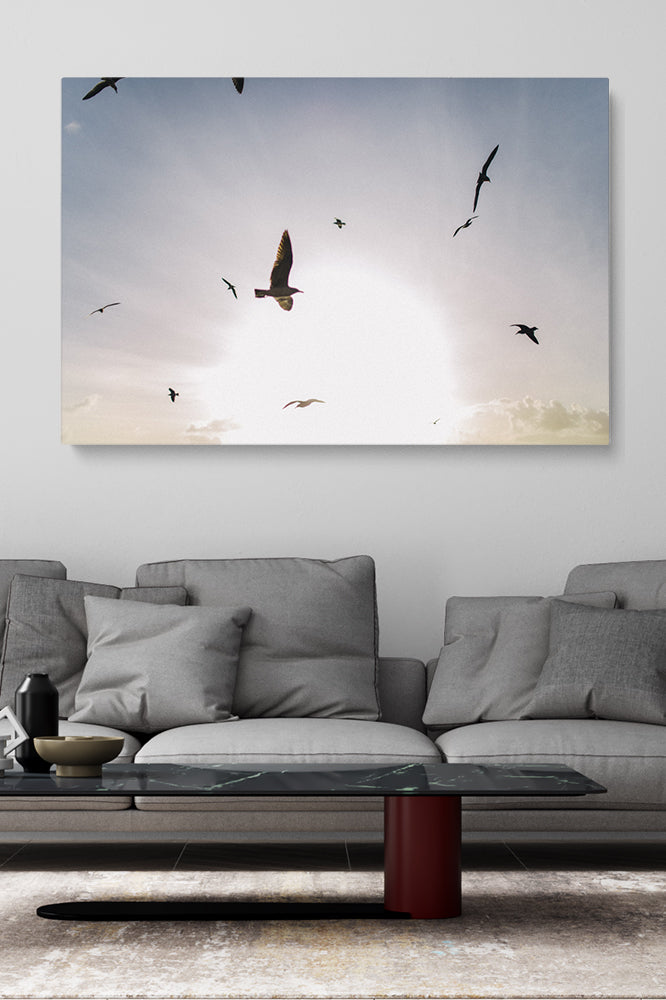 Fliegende Vögel