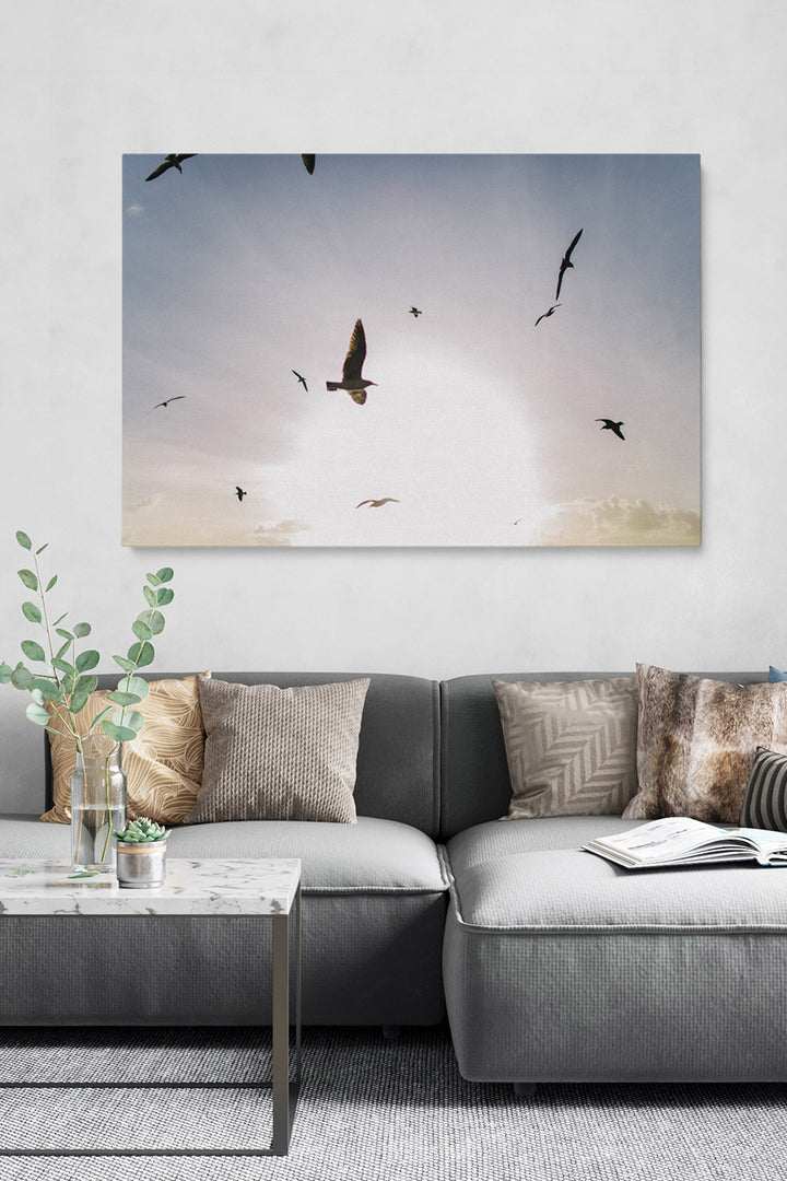 Fliegende Vögel