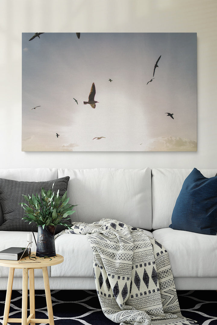 Fliegende Vögel