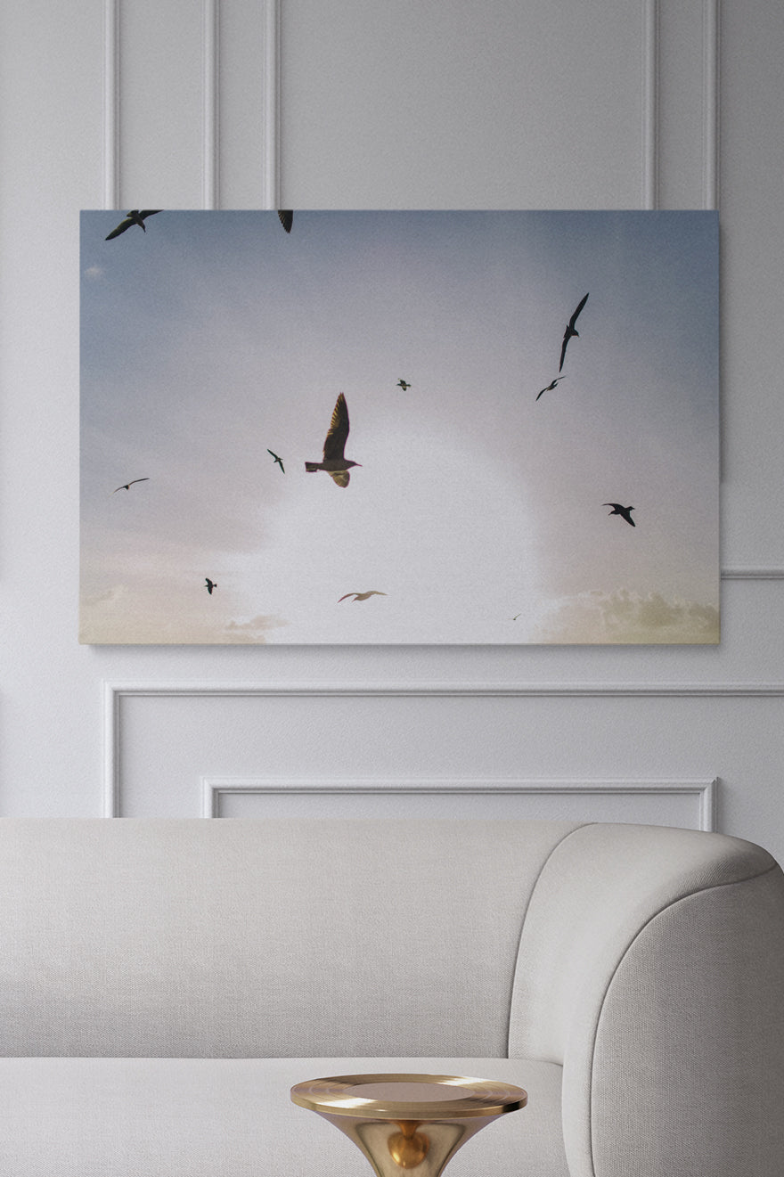 Fliegende Vögel