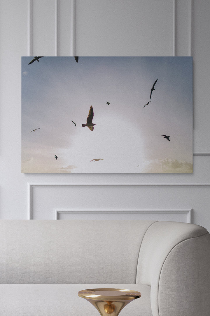 Fliegende Vögel