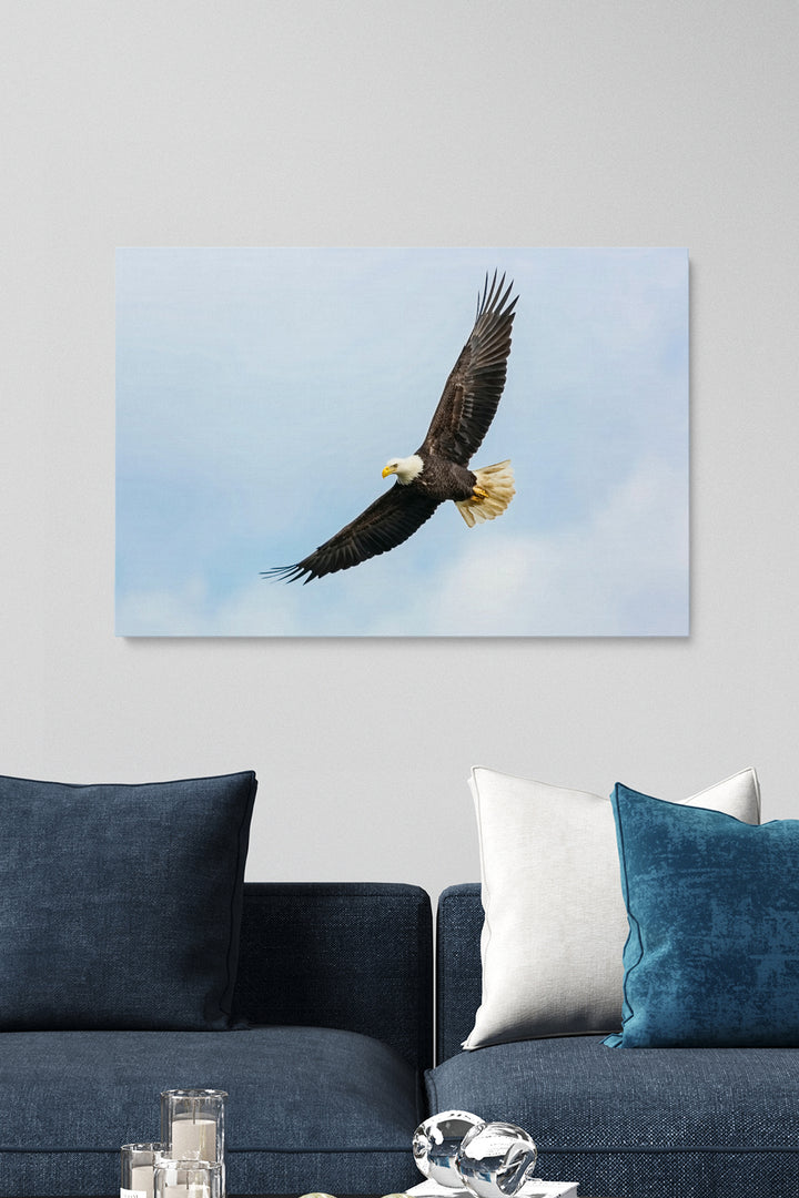 Flying Eagle