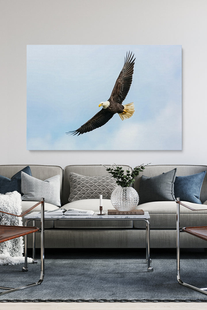 Flying Eagle