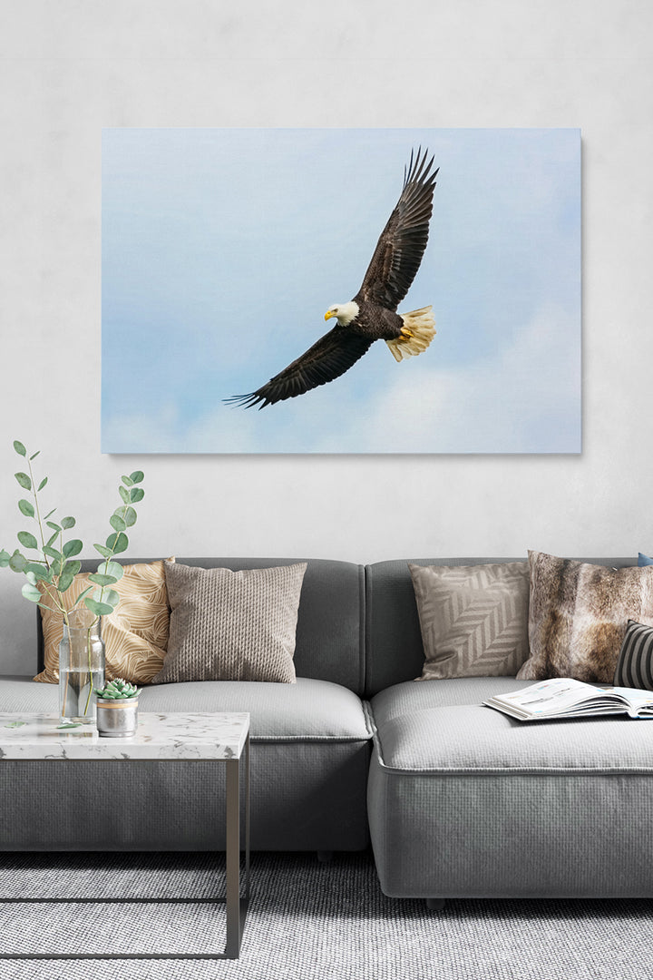 Flying Eagle