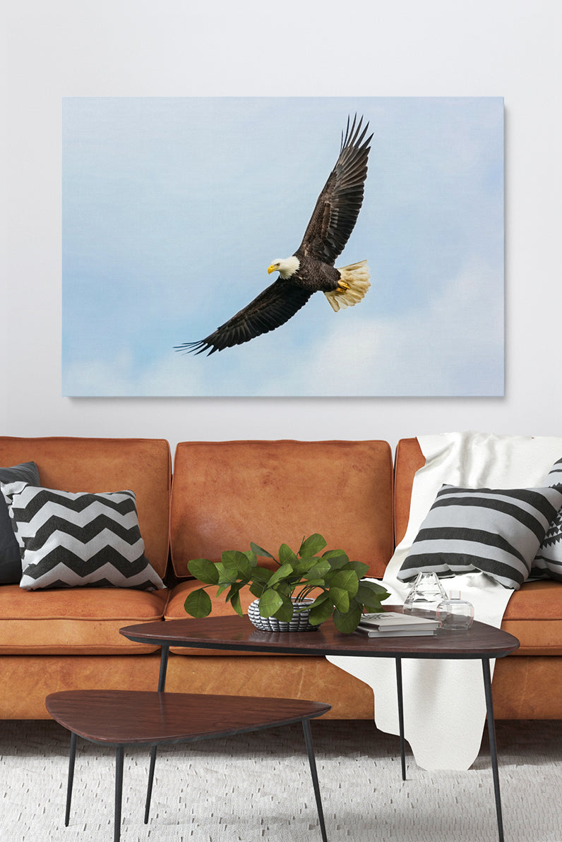 Flying Eagle