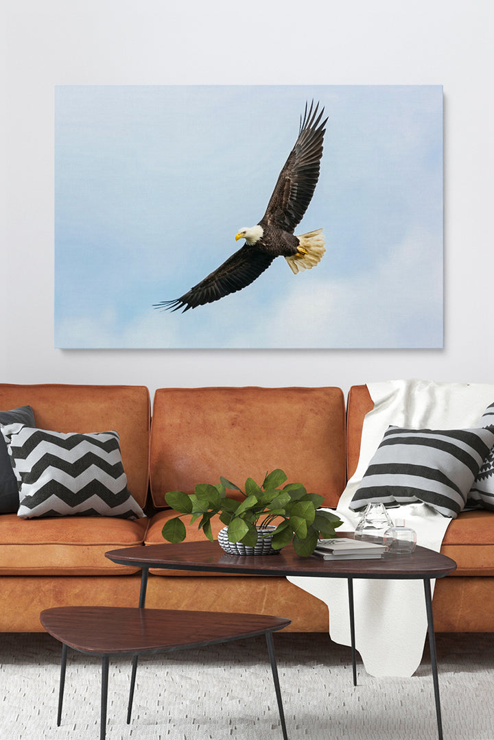 Flying Eagle