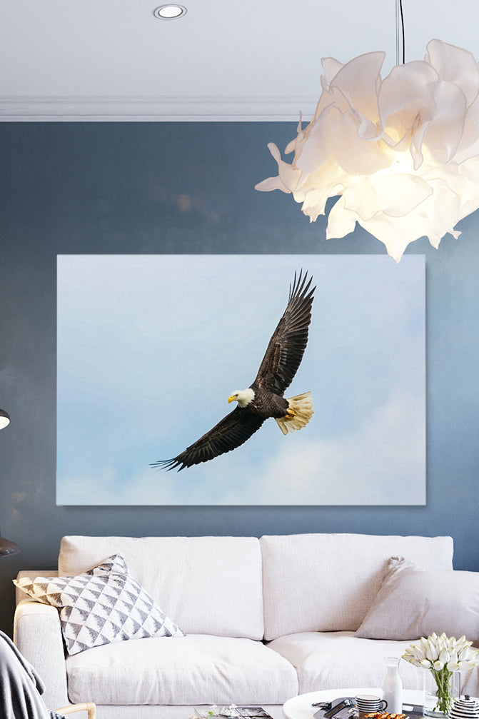 Flying Eagle