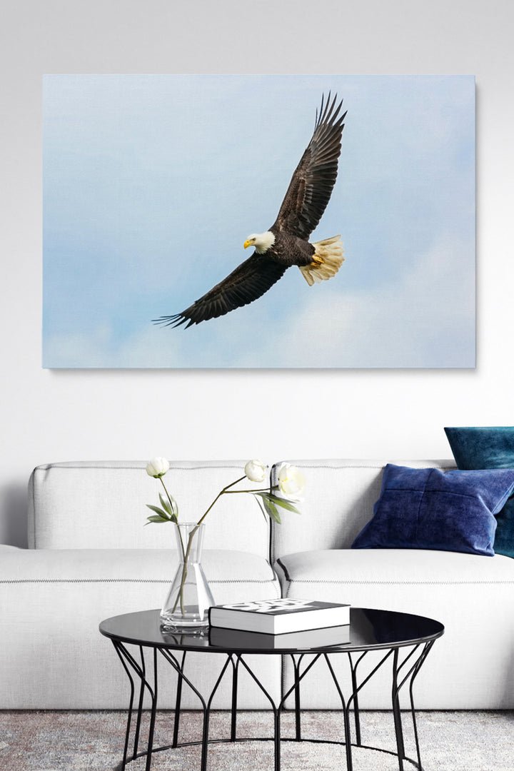 Flying Eagle